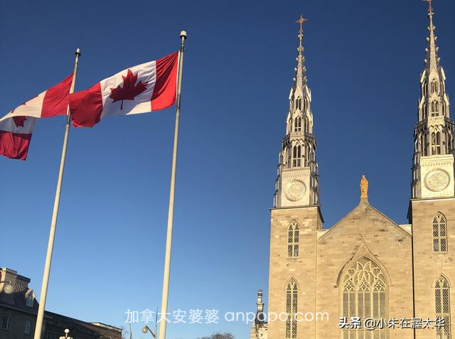 加拿大在2019年1月通过了超过4万份移民申请-2.jpg