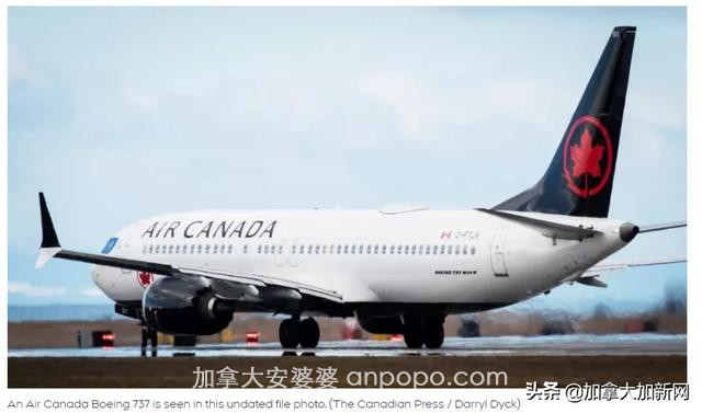 加航官宣8月复飞中国 南航增一班 机票抢疯
