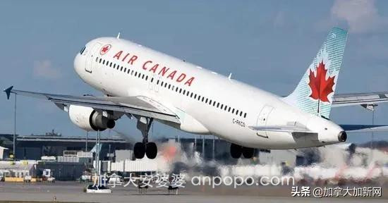 加国华人注意 回国临时航班增加 测出阴性才能登机