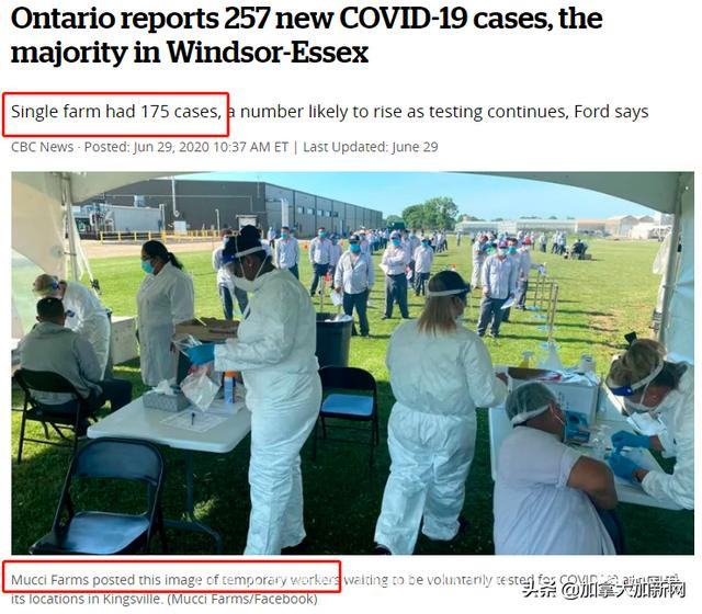 1次烧烤13人确诊 加拿大5大超级传播震撼全国 病毒正如野火蔓延