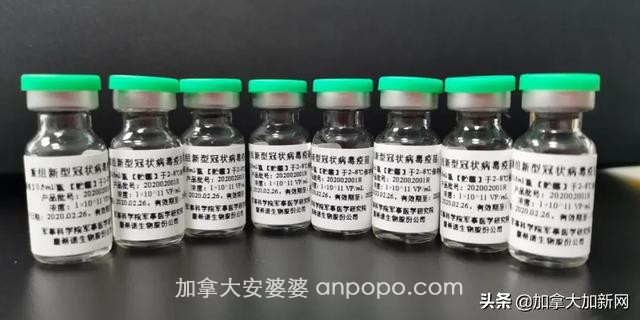 中国产新冠疫苗要来加拿大了 今秋或投入使用 确保加拿大人能接种