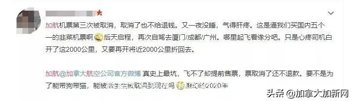 加航8月复飞上海 每周1班 机票不贵却遭华人圈喷惨