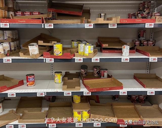 超市货架上空空如也 加拿大的供应链能不能跟上？