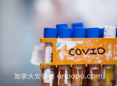 加拿大医疗系统无法面对第二波疫情 幸好中国疫苗年底上市