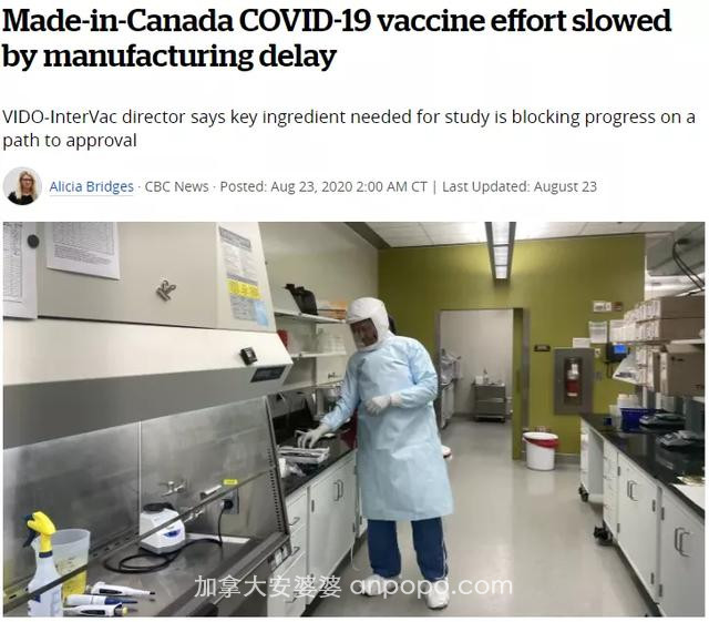 着急 | 中、美竞相启动新冠疫苗紧急试用，加拿大还迟迟没进展