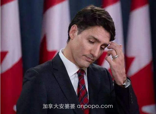 敢让议会“强制休假”，到底是谁给了加拿大总理特鲁多这个胆量？