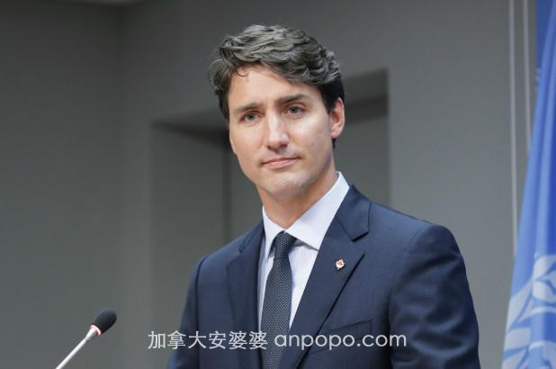 加拿大民意调查显示，特鲁多是应对疫情、领导经济复苏的最佳人选