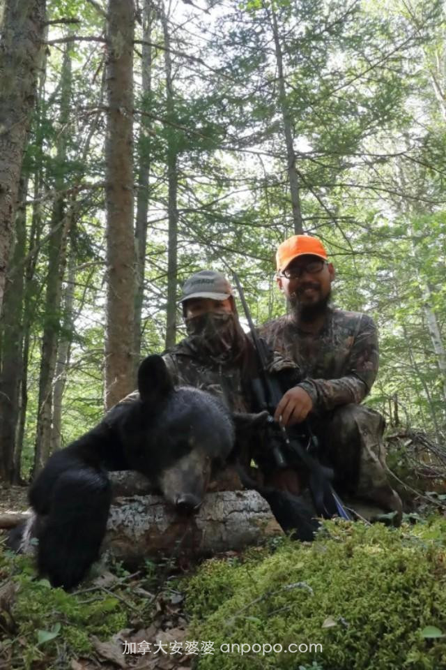 我在加拿大当猎人：一年杀不够 50 头熊，我得交罚款！