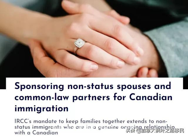 下半年加拿大团聚移民现状：夫妻移民更加严格？父母移民继续推迟