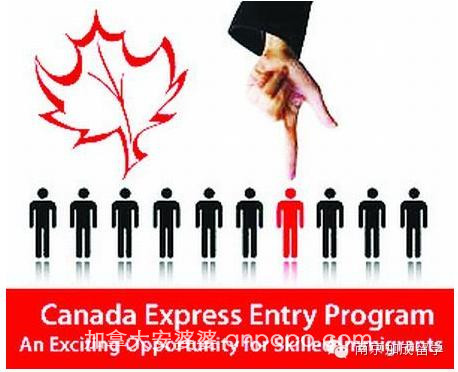 盘点加拿大最易就业及移民的几大“黄金专业”