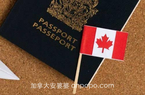 加拿大网上签证的申请步骤是什么？多久能拿到签证？