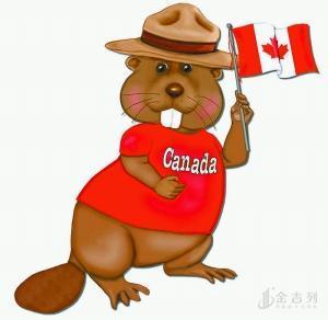 加拿大签证申请基础知识大全