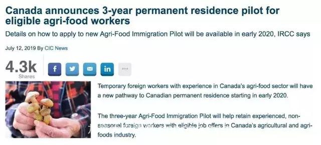加拿大最新推出2项移民计划！门槛极低，4年预收32000人
