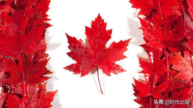 2020年移民加拿大的最简单方法，普通人也能移民