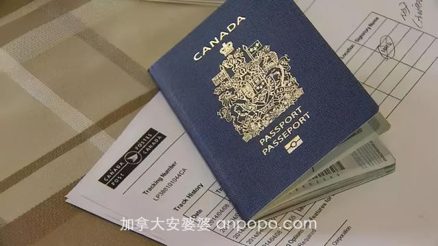 2020全球护照排名出炉！加拿大表现依旧卓越 美国跌落神坛