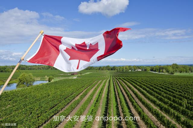 加拿大的社会生活，农业高度发达，渔业资源丰富