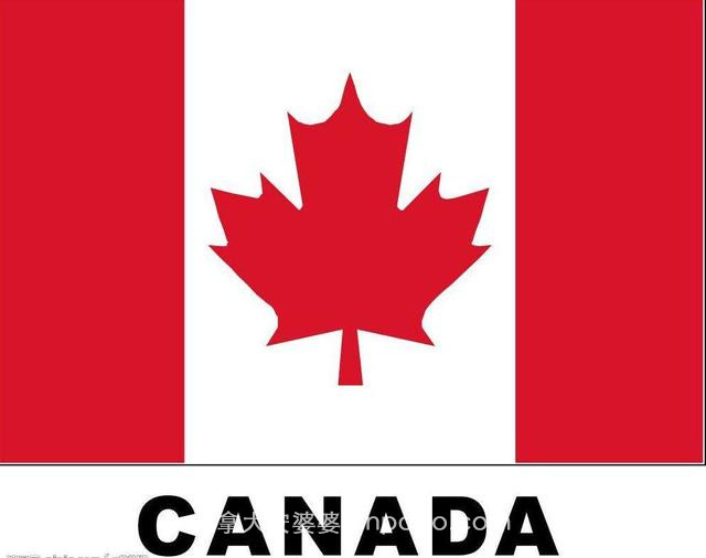 特殊时期加拿大签证指南