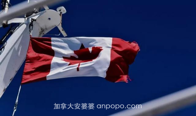 加拿大呼吁企业大批量生产呼吸机、口罩