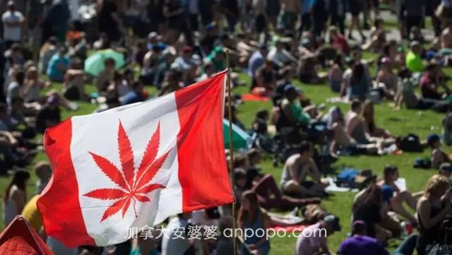 加拿大大麻“合法”了，想带回来的先看看这个~