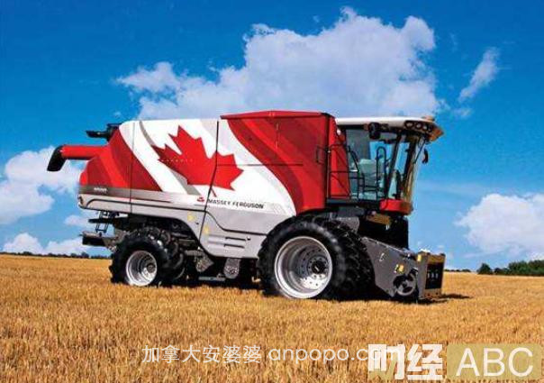 加拿大对中国750亿出口落空？农业、石油、汽车行业出现隐忧！