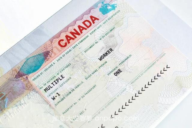 加拿大移民新政生效 发放超长工签 申请简单 华人机会来了