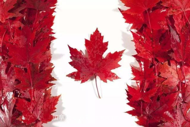 好消息！加拿大签证新规重磅来袭，惠及这类人群！你准备好了吗？