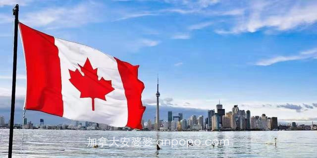 我用在加拿大3000多天的工作经验，告诉你加拿大和中国谁更好