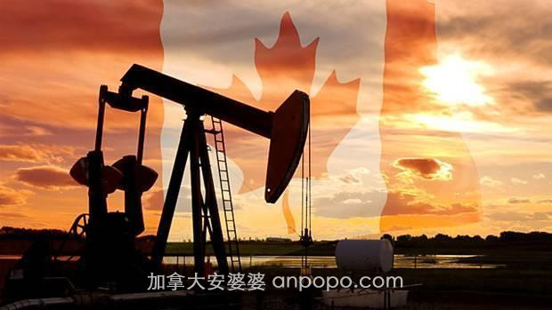加拿大经济开始实质性大跌,加元直线跳水,加国农民和石油损失惨重