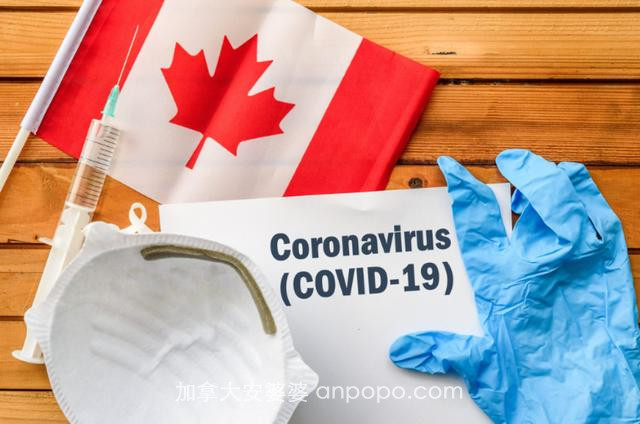 加拿大疫情恐失控，传染加快，所有省都出现变异病毒却各自为战