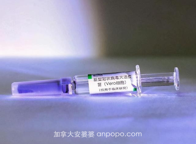 加拿大疫情再起，疫苗奇缺，孟晚舟事件影响中加关系，想得到中国疫苗并不容易