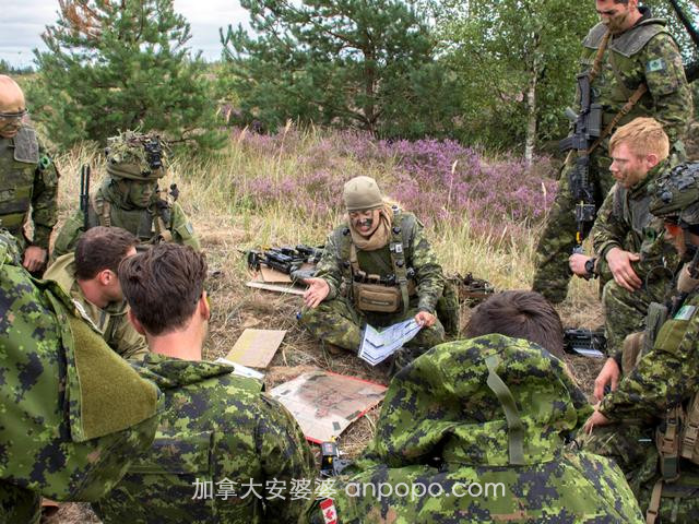 加拿大军队实弹训练，亚裔士兵意外受伤不治身亡，高层已下令彻查
