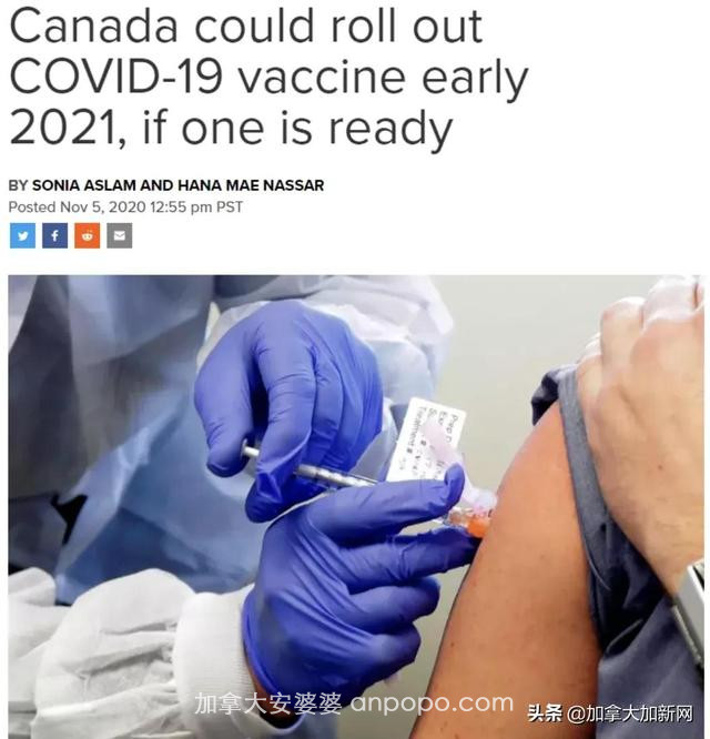 疫苗来了 加拿大明年1月有望获新冠疫苗 4类人免费优先接种
