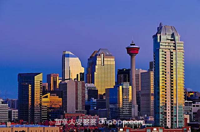 加拿大七大高科技城市，IT人才选择多多