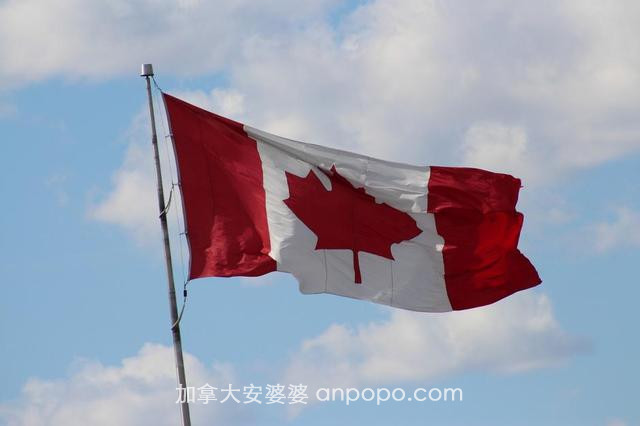 油菜籽出口中国受阻之后，加拿大经济再遭暴击！下一个将是大豆？