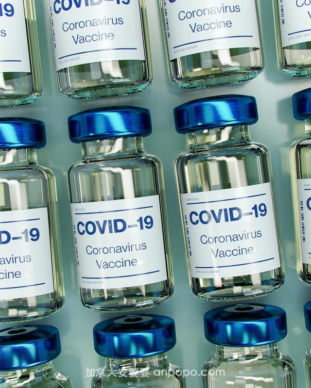 英美都已官宣12月起接种新冠疫苗，加拿大为何迟迟没动静？