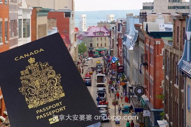 2021加拿大移民最新政策解读！（内含省提名技术移民项目汇总）