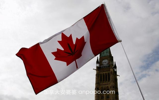 中国采取行动后，加拿大急得跳脚要“告状”，澳方也有人坐不住了