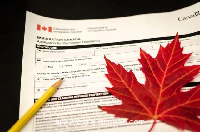 加拿大抢人疯了！新增9万移民配额，几乎零门槛接纳留学生入籍