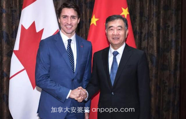 国际观察丨加拿大公布重大消息，要跟中国“联手”了