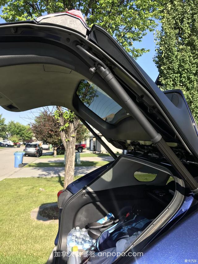 没有前牌照只有后牌照！美版2019款RAV4加拿大提车作业