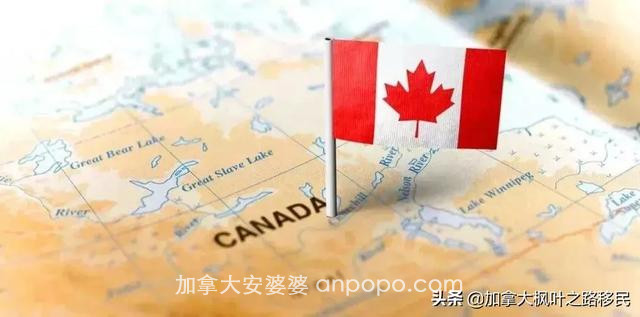 最新！6月9日起，加拿大这类签证申请恢复受理