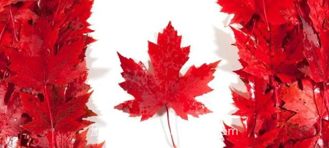 什么是加拿大开放式工作签证？