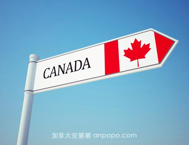 美国拒大量科技人才，加拿大虎视眈眈，在美中国科技人才盼回国