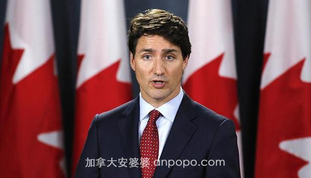 制裁仍在加强，中企宣布决定，外媒：压垮加拿大的“致命稻草”