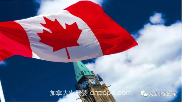 「官宣」加拿大新政来袭，9万名额大赦直接发身份，5月开放申请