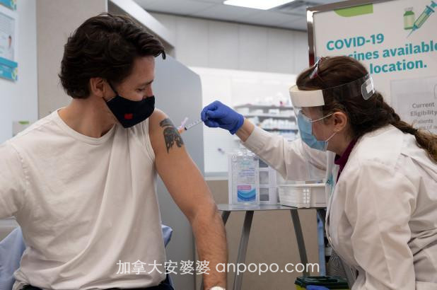 外媒：接种新冠疫苗时，加拿大总理特鲁多当保镖时“秘密”曝光