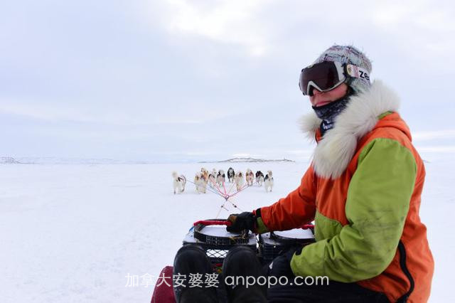 40多小时3万多公里，首篇旅行长攻略，解密加拿大人迹罕至的北极