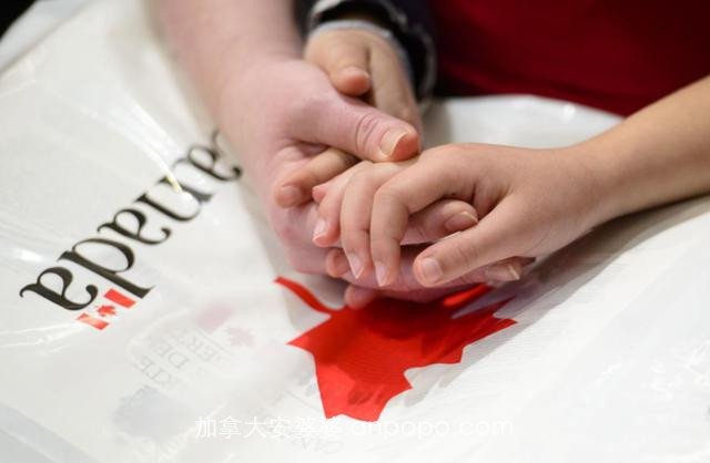 先到先得！加拿大将送出9万张移民枫叶卡，申请指南最新出炉