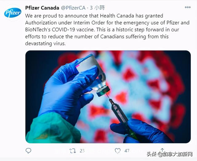 加拿大正式批准辉瑞疫苗！最早下周二送达 全民免费接种