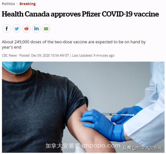 加拿大正式批准辉瑞疫苗！最早下周二送达 全民免费接种